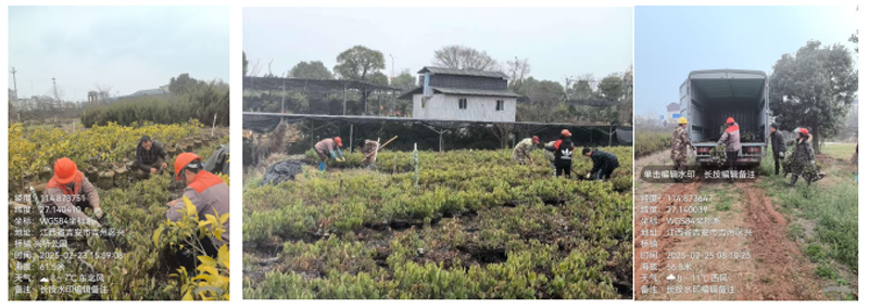 1740470210847662.jpg 2.jpg